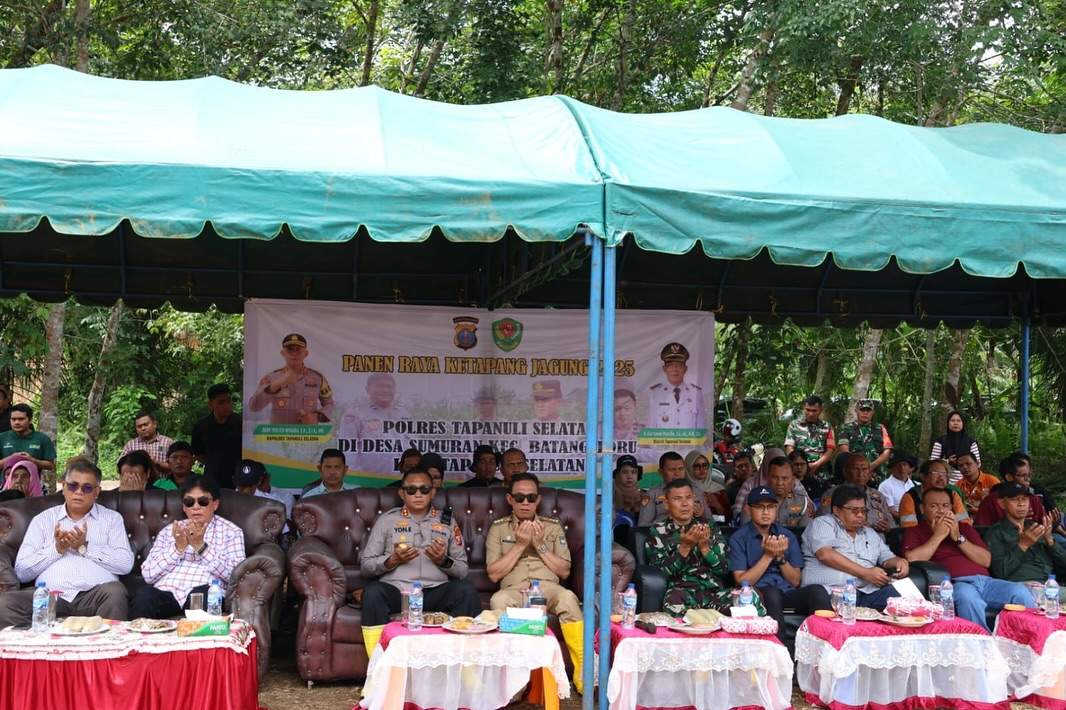 Bupati Tapsel Hadiri Panen Raya Jagung Serentak di Batang Toru, Dorong Swasembada Pangan