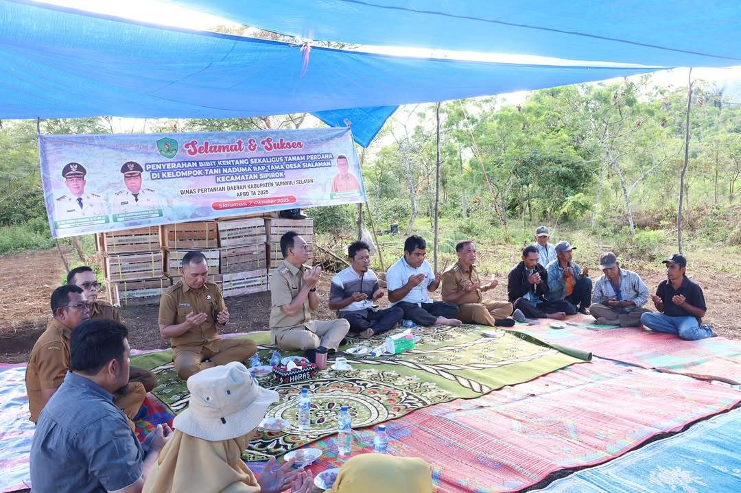 Tanam Perdana Kentang, Bupati Tapsel Sekaligus Perjuangkan Sertifikasi Lahan Masyarakat