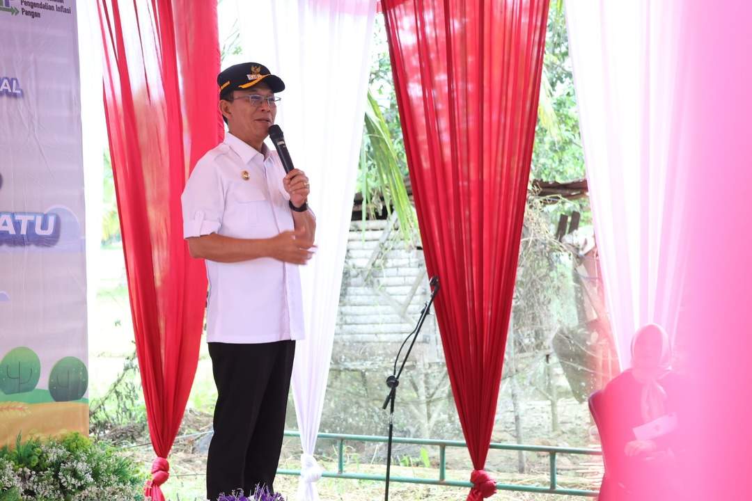 Bupati Tapsel Dorong Pengembangan Padi Unggul Gama Gora 7, Targetkan Produksi 10 Ton per Hektare