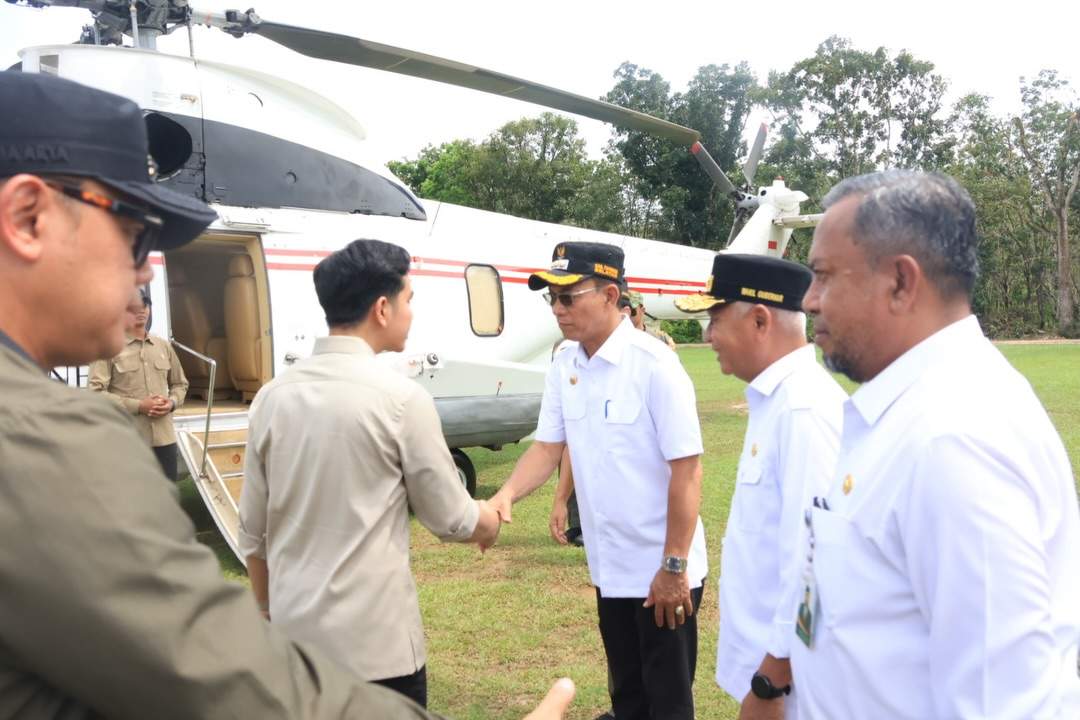 Wapres Gibran Tinjau Lokasi Banjir Bandang di Tapsel, Janjikan Percepatan Penanganan Infrastruktur dan Sekolah