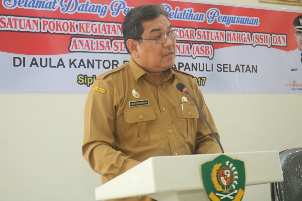 Pelatihan dan penyusunan HSPK dan SSH Tapsel