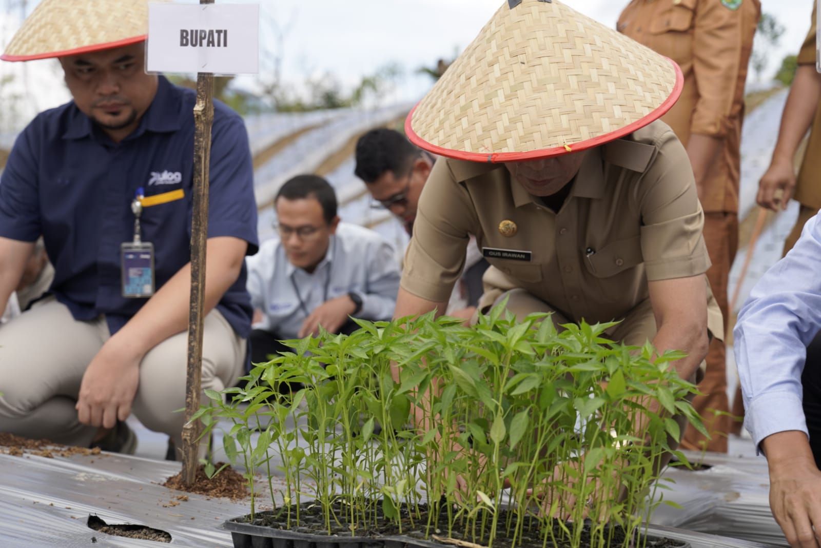 Peningkatan Pendapatan Masyarakat
